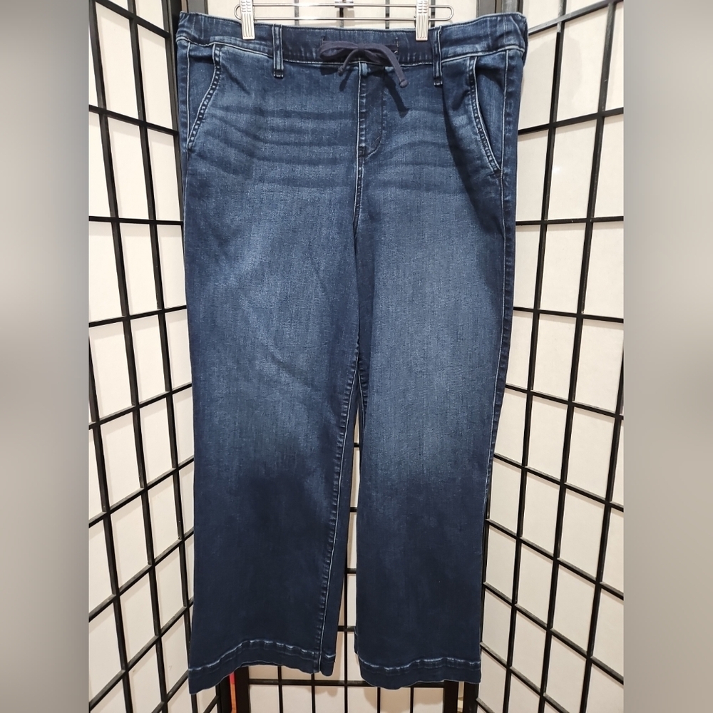 TORRID 2R (18/20)  Weekend Wide Leg Mid-Rise  Dark Wash Stretch Jean